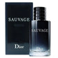 Christian Dior 迪奧曠野之心男性淡香水 100ml